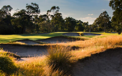 003_Woodlands_16BITS copy 2