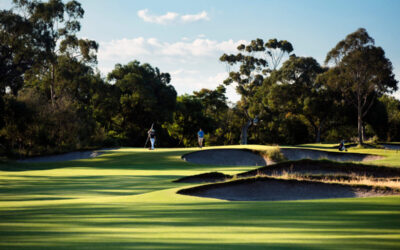 008_Woodlands_16BITS_JacobSjoman_v2 copy 2