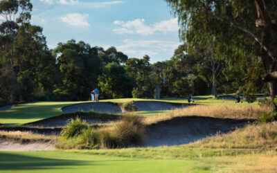 009_Woodlands_16BITS_JacobSjoman copy 2