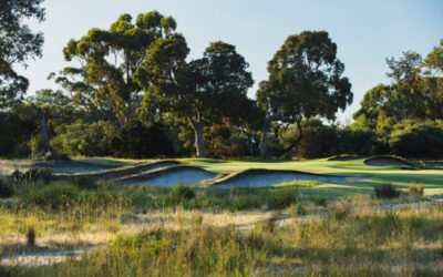 015_Woodlands_16BITS copy 2