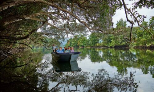 Daintree Boatman