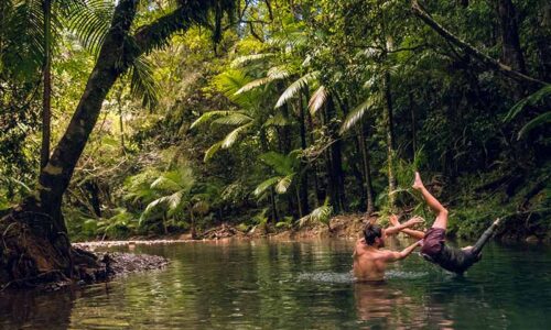 Daintree & Cape Tribulation