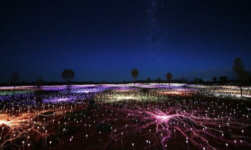 Field of Light