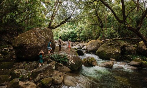 Ngadiku Dreamtime Walk