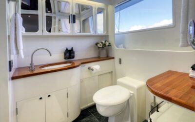 31_VIP King Stateroom Bathroom