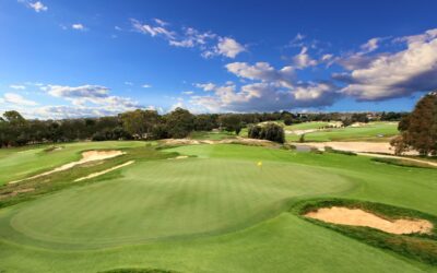 7th-from-tower-adjusted