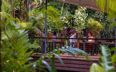 @phlipvids Daintree Eco Lodge-11