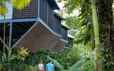 @phlipvids Daintree Eco Lodge-14