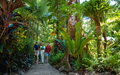 @phlipvids Daintree Eco Lodge-27