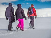 Antarctica, Snowshoeing © Dietmar Denger-Oceanwide Expeditions.jpg_Dietmar Denger