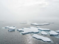 Arctic pack ice © Andreas Alexander - Oceanwide Expeditions_Andreas Alexander