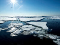 Arctic pack ice © Sara Jenner - Oceanwide Expeditions_Sara Jenner