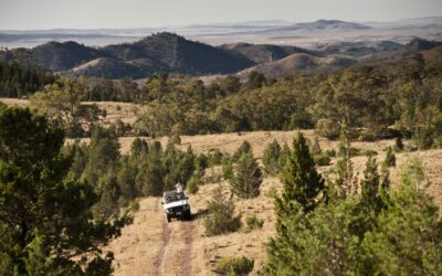 Arkaba_Flinders-Ranges_4WD-Tour