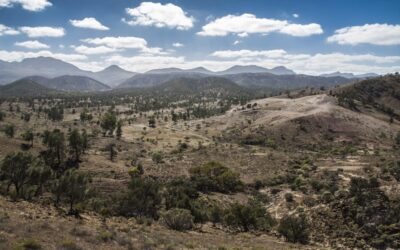 Arkaba_Flinders-Ranges_Balinites-Mine