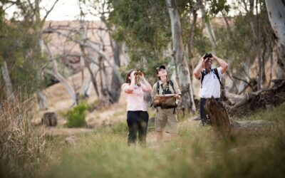 Arkaba_Flinders-Ranges_Bushwalk-Binoculars