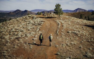 Arkaba_Flinders-Ranges_Bushwalk-Summer-Track