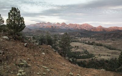 Arkaba_Flinders-Ranges_Bushwalk-View