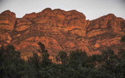 Arkaba_Flinders-Ranges_Elder-Ranges