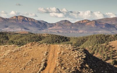 Arkaba_Flinders-Ranges_Explore