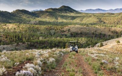 Arkaba_Flinders-Ranges_PhotographySafari-only