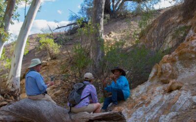 Arkaba_Flinders-Ranges_Through-Adnamatna-Eyes