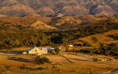 Arkaba_Flinders-Ranges_Woolshed-and-ranges