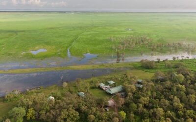 Bamurru-Plains_Top-End_Aerial1-Michael-Poliza