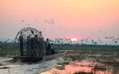 Bamurru-Plains_Top-End_Airboat-Safari-Emma-Pritchett
