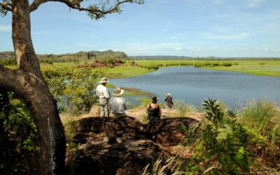 Bamurru-Plains_Top-End_Bushwalk-View