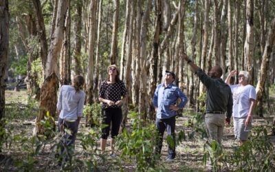 Bamurru-Plains_Top-End_Guided-Wilderness-Walk-Shaana-McNaught