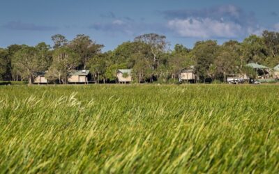 Bamurru-Plains_Top-End_Lodge