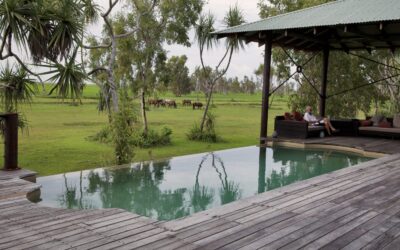 Bamurru-Plains_Top-End_Pool