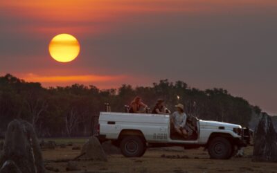 © Peter Eve - Licenced to Wilderness Australia for unlimited usage in all media. Not to be resold. Not to be archived by third parties. Peter Eve may reproduce all images in any media format.