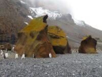 Brown Bluff_Sanneke van der Sanden