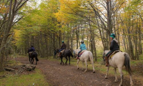 Horse Riding at Estancia Lazo