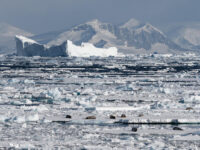 Crystal Sound landscape © Sandra Petrowitz - Oceanwide Expeditions.jpg_Sandra Petrowitz