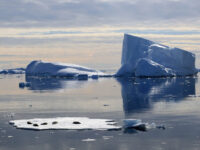 Crystal Sound © Luc Vanhercke - Oceanwide Expeditions.jpg_Luc Vanhercke