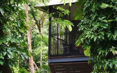 Daintree Ecolodge_Exteriors_Simon Shiff_Bayan