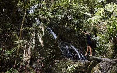 Daintree Ecolodge_Lifestyle_Simon Shiff_Waterfall