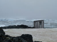 Detaille island © Ria van Zessen - Oceanwide Expeditions.jpg_Ria van Zessen