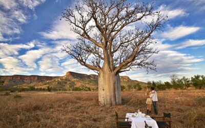 El-Questro-Homestead_The-Kimberley_Boab-Tree-Dining