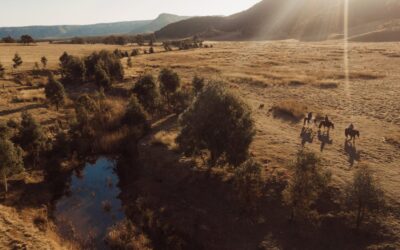 Emirates-One&Only-Wolgan-Valley_Blue-Mountains_Horsetrail