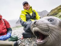 Falkland Islands - South Georgia - Antarctica