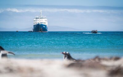 Falklands, South Georgia, Ant Peninsula © Fotografie Dietmar Denger-Oceanwide Expeditions20.jpg_Dietmar Denger