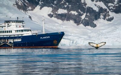 Falklands, South Georgia, Ant Peninsula © Fotografie Dietmar Denger-Oceanwide Expeditions273.jpg_Dietmar Denger