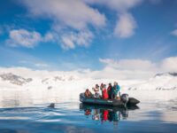 Falklands, South Georgia, Ant Peninsula © Fotografie Dietmar Denger-Oceanwide Expeditions277.jpg_Dietmar Denger