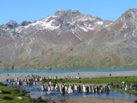 Remote Weddell Sea Explorer