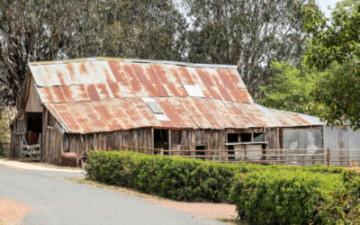 GS_Adel-Bris_Day_2_Canberra-52_1920