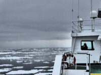 Going north along the ice edge © Francina Becker - Oceanwide Expeditions_Francina Becker