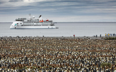 Greg Mortimer Ship and King Penguins, Antarctica, Susan Portnoy